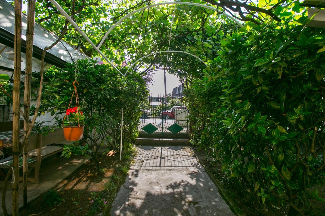 Guest House Lavr Gagra Exterior foto